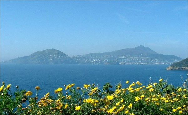 Ischia